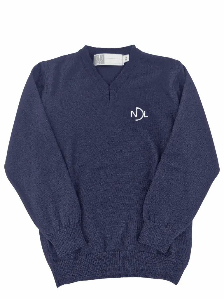 Harry V-neck jumper NDL