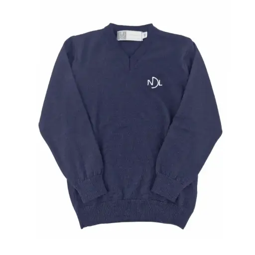 Harry V-neck jumper NDL