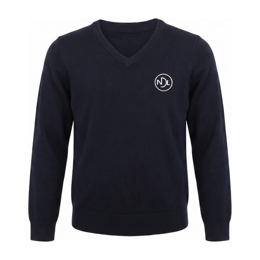 Pull V coton NDL 